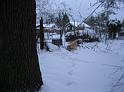 schnee2010 036